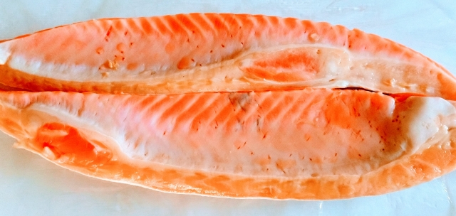 salmon-harasu