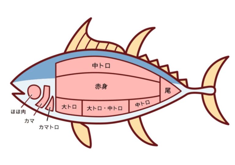 【マグロの選び方】料理人がスーパーで見る5つのポイント