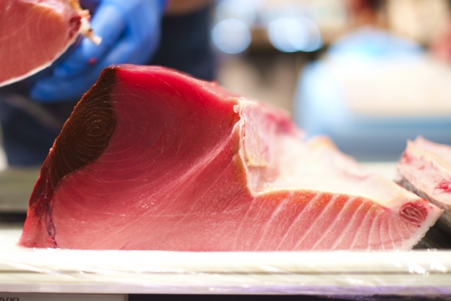 bluefin-tuna