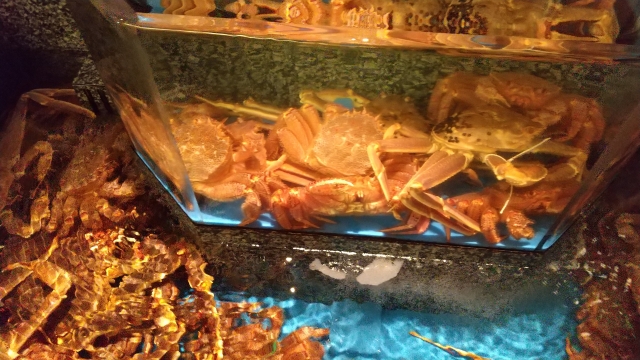swimming-crabs