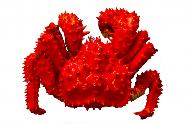 hanasaki-crab