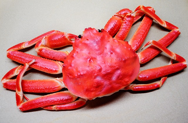 large-snow-crab