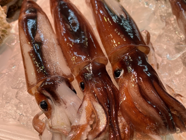 three-squids