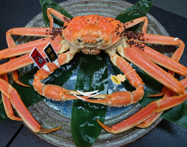 echizen-crab